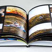 Zdjęcie Uwolnijkolory.pl