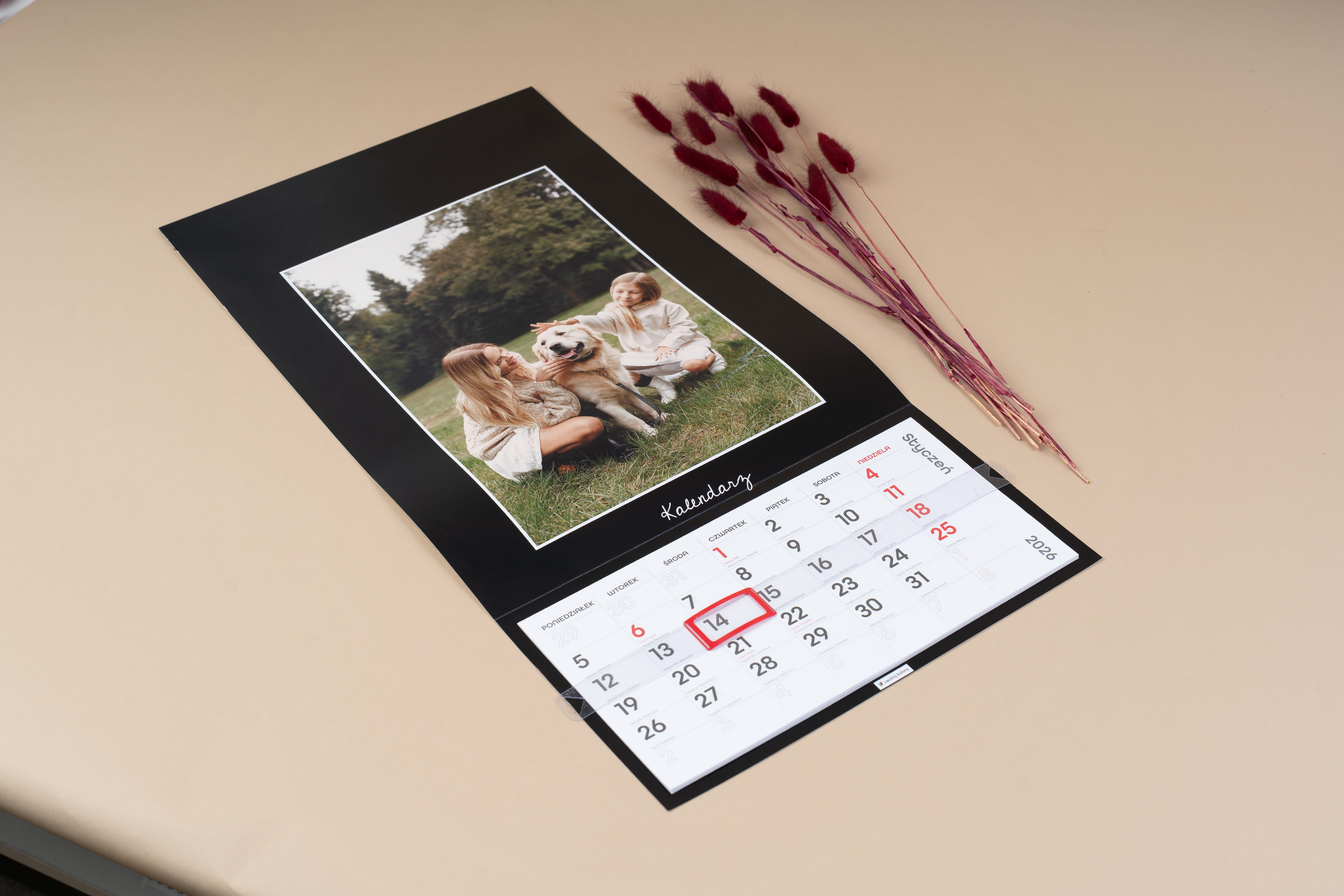 Plany, marzenia i postanowienia na nowy rok!