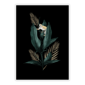 Plakat Egzotyczna elegancja 