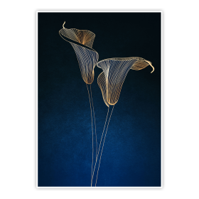 Plakat Eleganckie kalie 3 