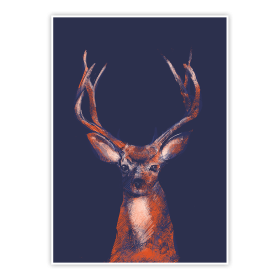 plakat jeleń black