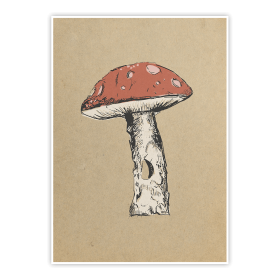 plakat muchomor 2