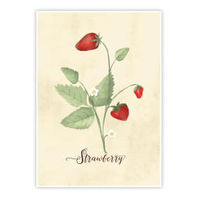 Plakat Vintage truskawki 