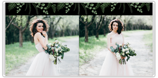 Fotoalbum Kwiat paproci
