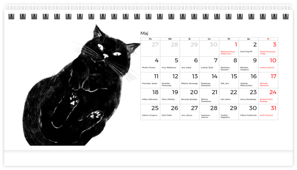 fotokalendarz Czarny kot