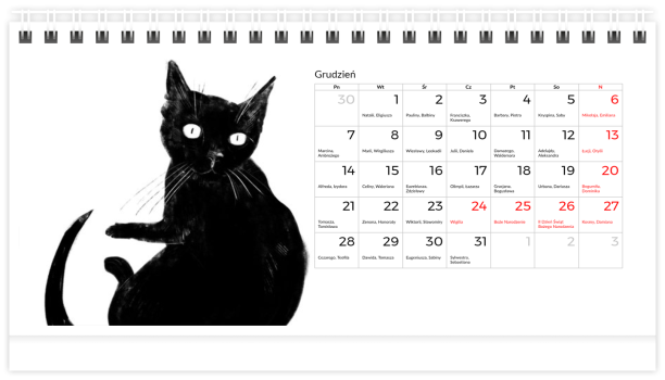 fotokalendarz Czarny kot