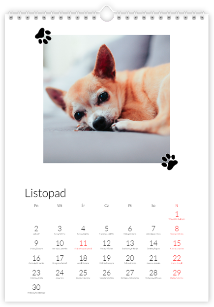kalendarz z psem