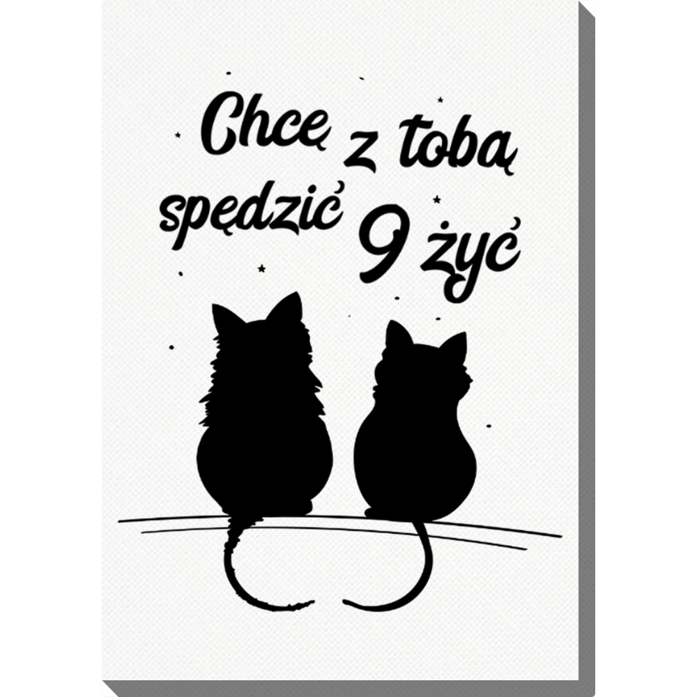 Fotoobraz Kocia miłość