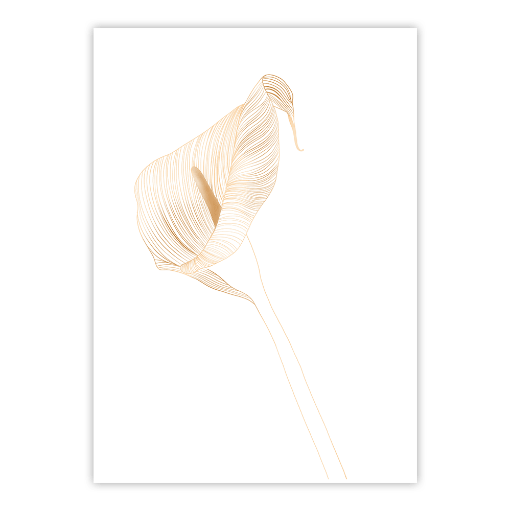 Plakat Eleganckie kalie 6