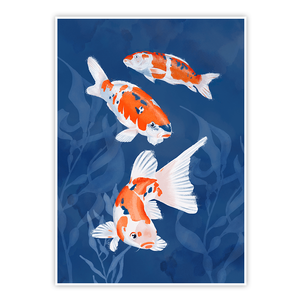 plakat koi w błękitnych wodach