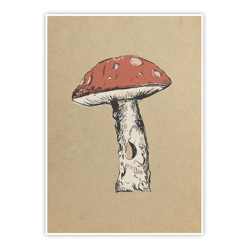 plakat muchomor 2