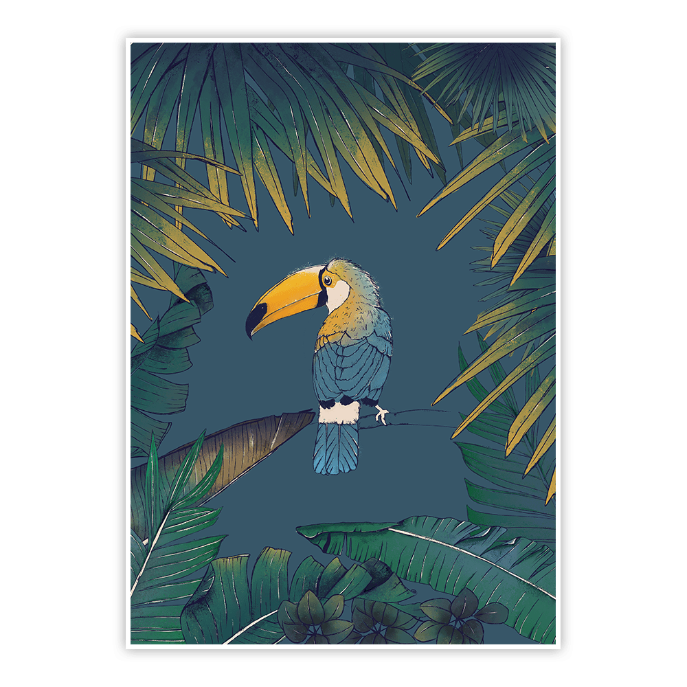 plakat rajski tukan