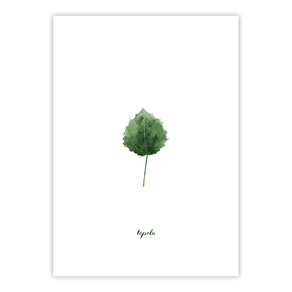 plakat topola