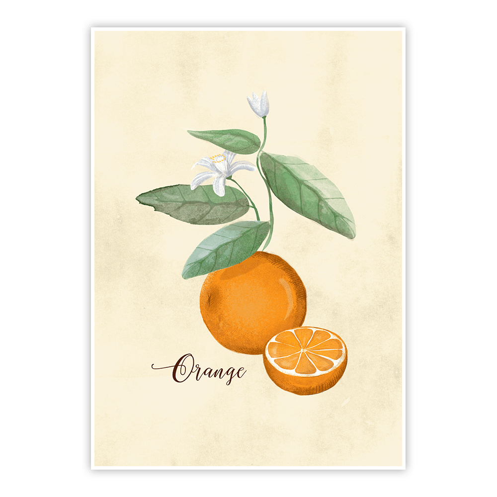 Plakat Vintage pomarańcza
