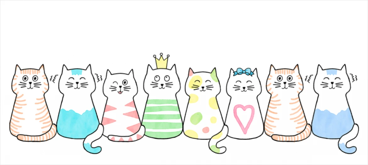 Kubek z kotem. Byś dobry dzień MIAU